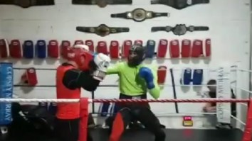 Conor McGregor Teases Fight With Floyd Mayweather By Showing Off His Boxing Skills In Instagram Video