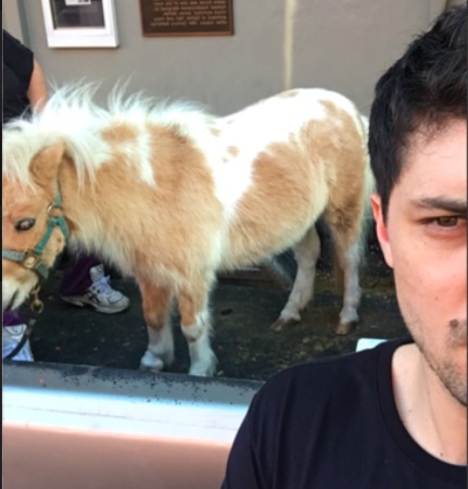 mini-pony