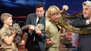 Steve Irwin’s Son Has Grown Up To Look And Act Just Like His Dad, So ALL ABOARD The Feels Train!!!