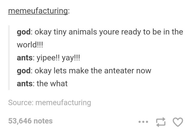 tumblr's best