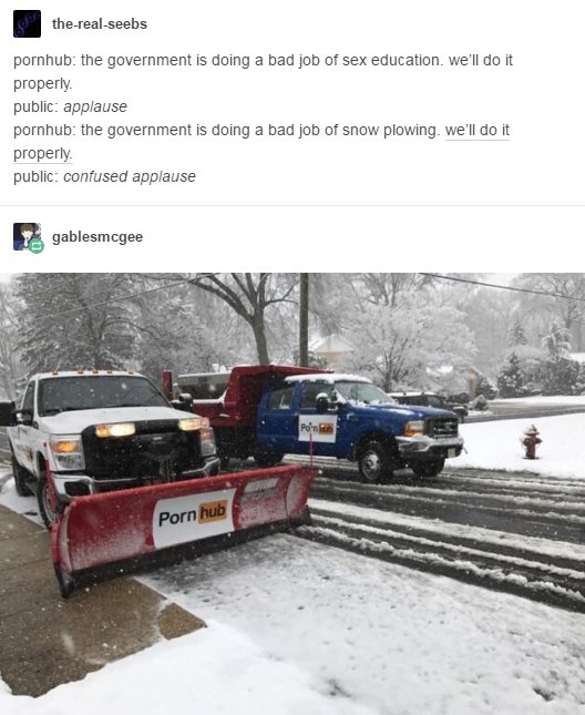 tumblr's best