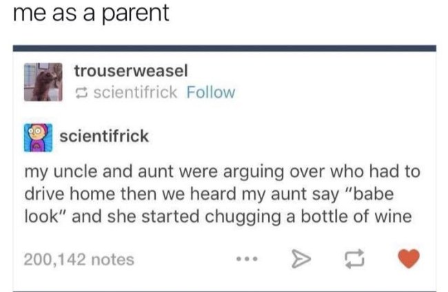 tumblr's best