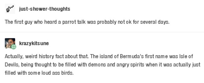 tumblr's best