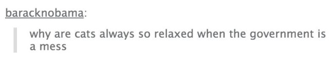tumblr's best