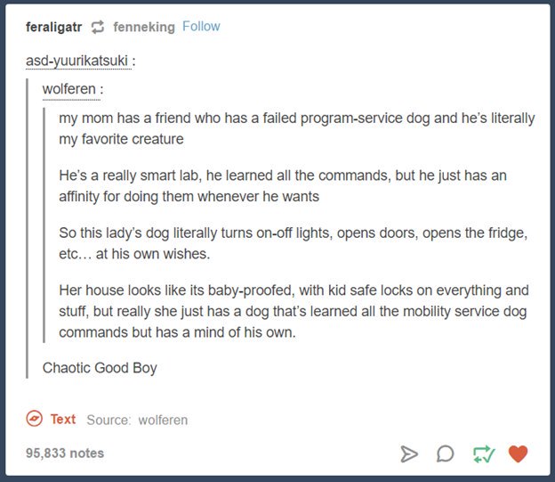 tumblr's best