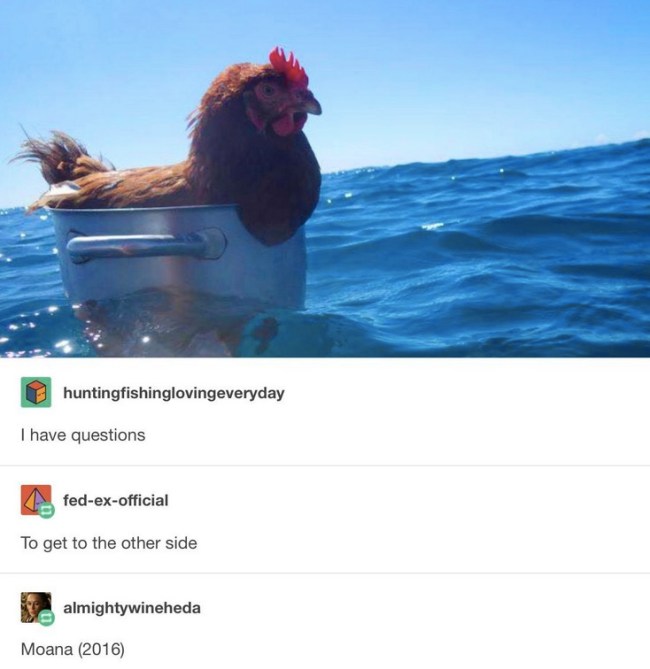 tumblr's best