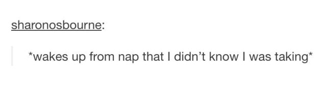 tumblr's best
