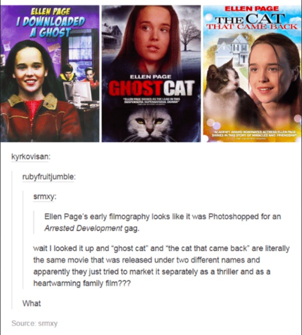 tumblr's best