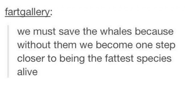 tumblr's best