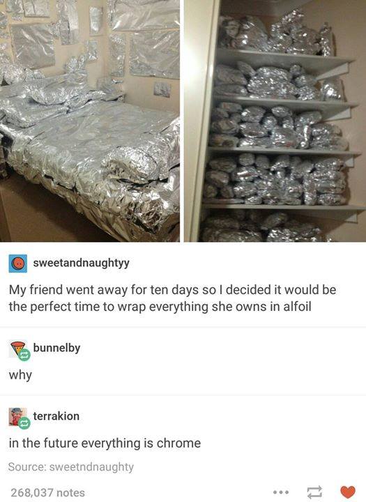tumblr's best