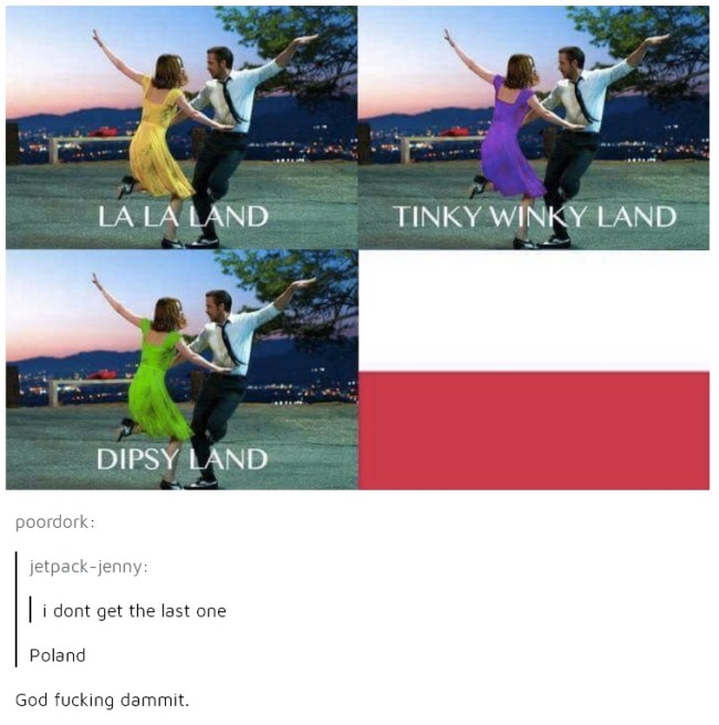 tumblr's best