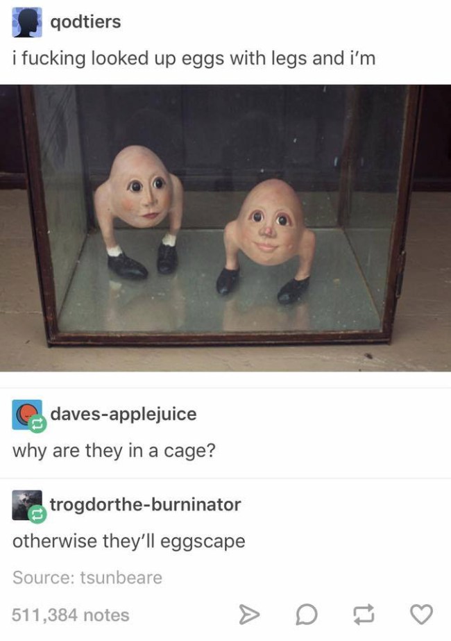 tumblr's best