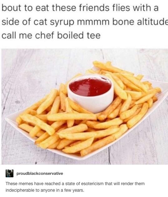 tumblr's best