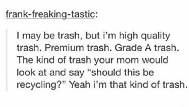 tumblr's best
