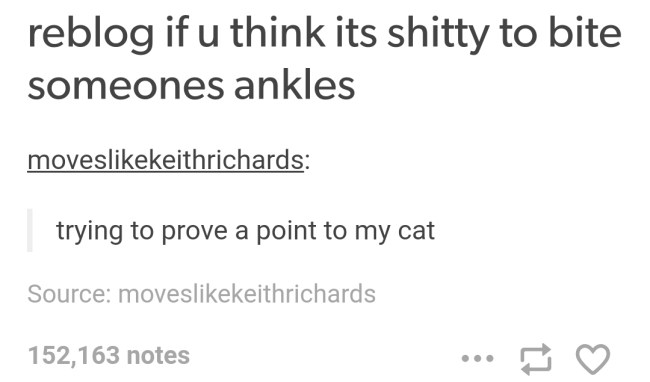 tumblr's best