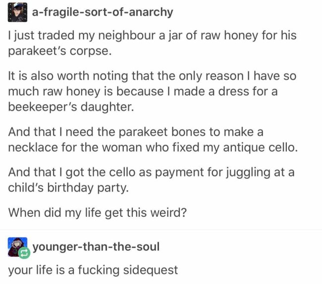 tumblr's best