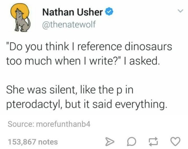tumblr's best