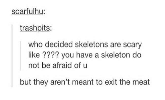 tumblr's best