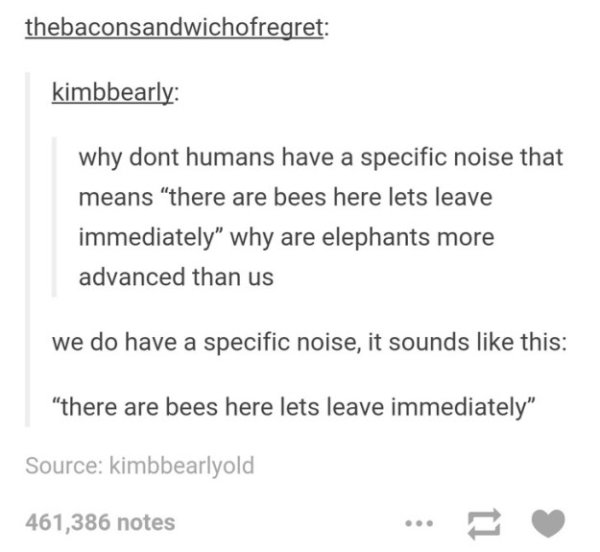 tumblr's best