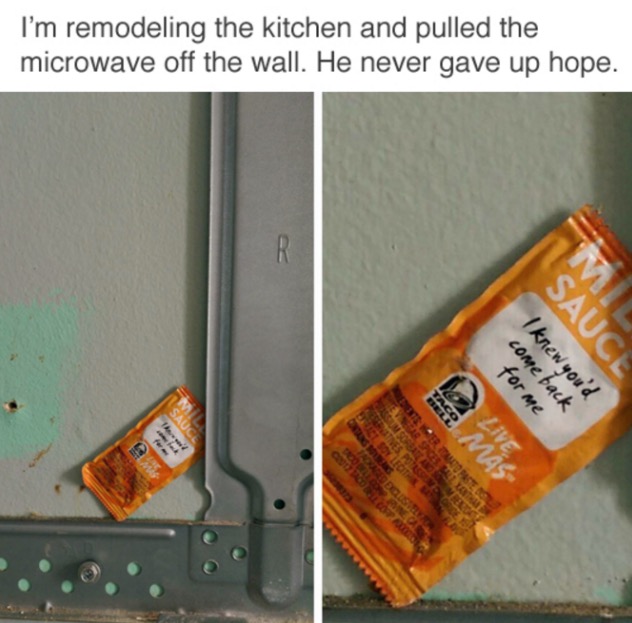 tumblr's best