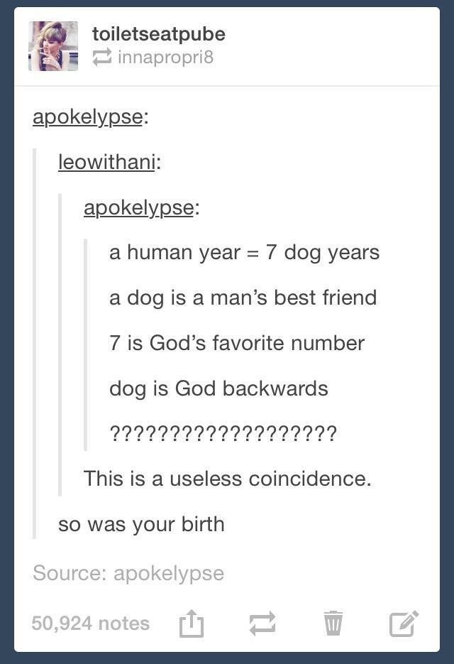 tumblr's best