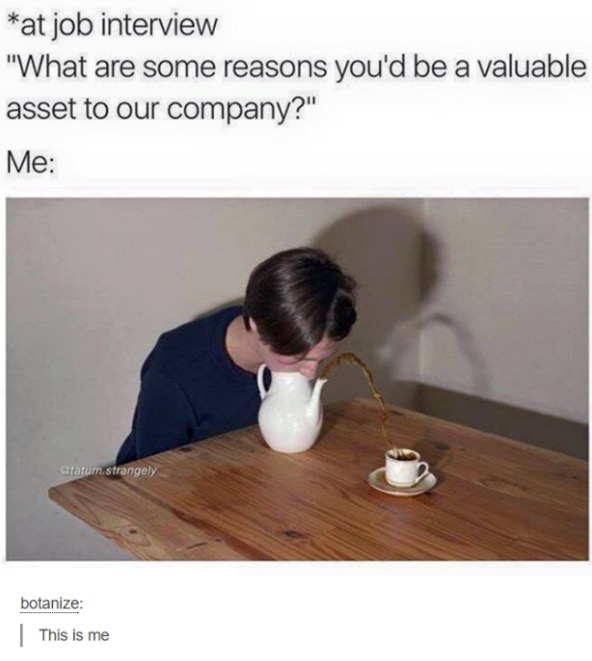 tumblr's best