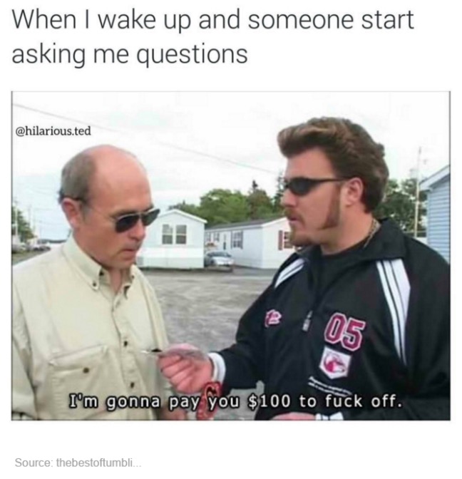 tumblr's best