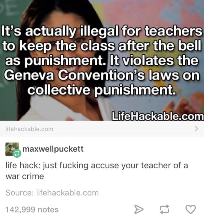 tumblr's best