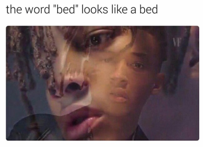 tumblr's best