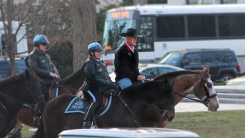 Trump’s Interior Secretary Pulled The Ultimate Power Move This Morning And Rode To Work ON A HORSE