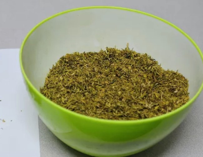 government supplied marijuana
