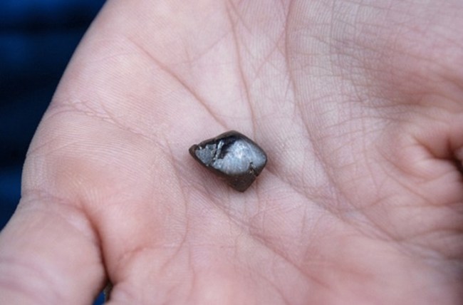 Kalel Langford Finds 7 carat brown diamond arkansas