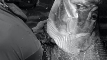 This Captain’s Obsession Will Get You Hyped AF For Tarpon Fishing Season In Florida