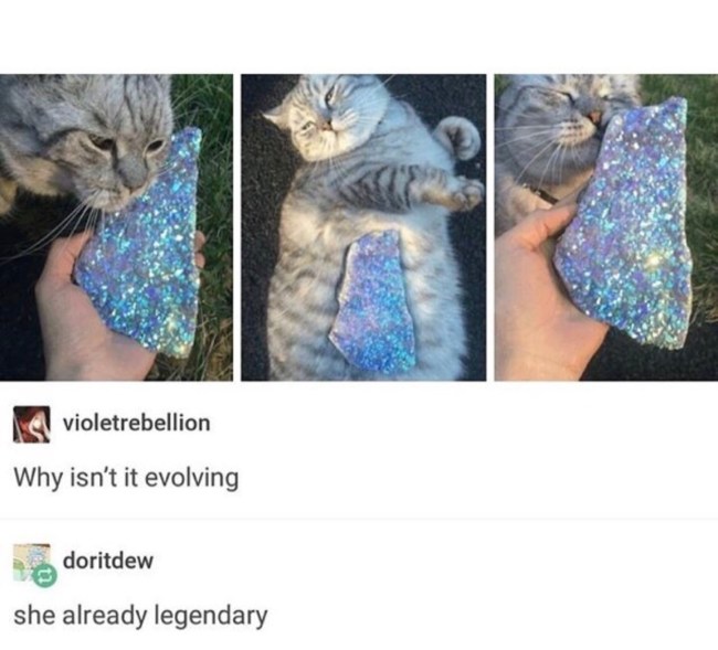 best of tumblr
