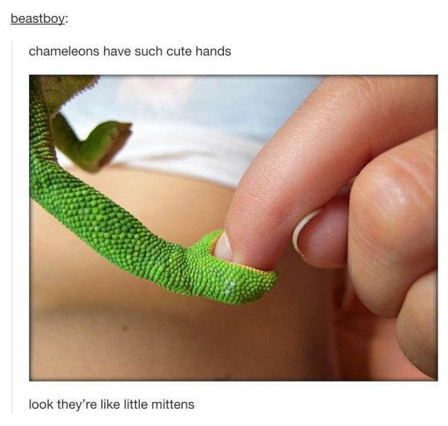 best of tumblr
