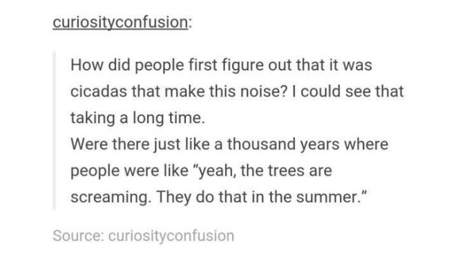 best of tumblr