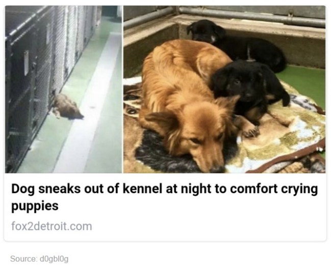 best of tumblr