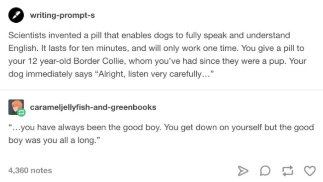 best of tumblr