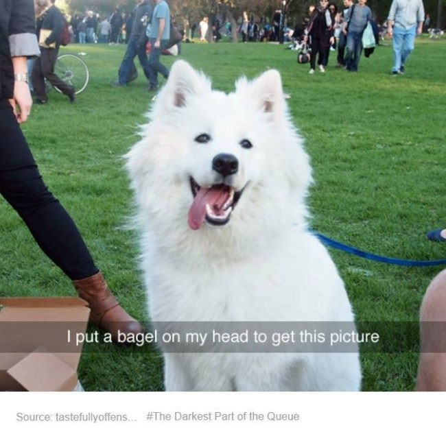 best of tumblr