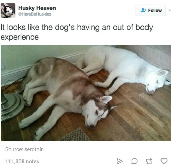 best of tumblr