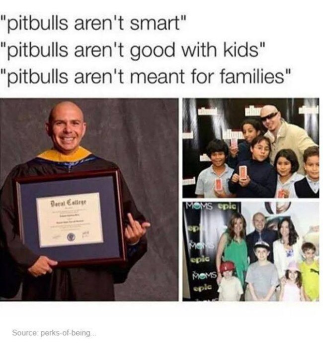 best of tumblr