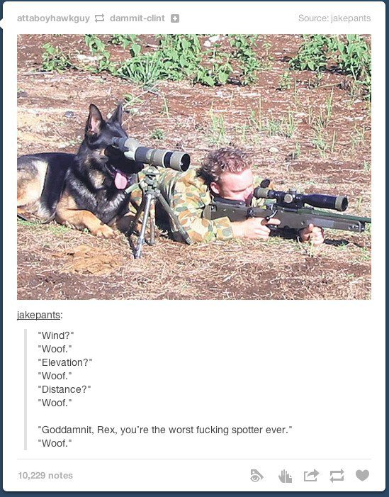 best of tumblr