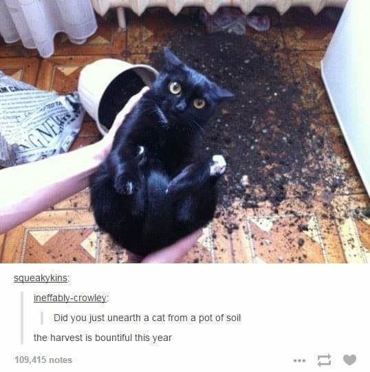 best of tumblr
