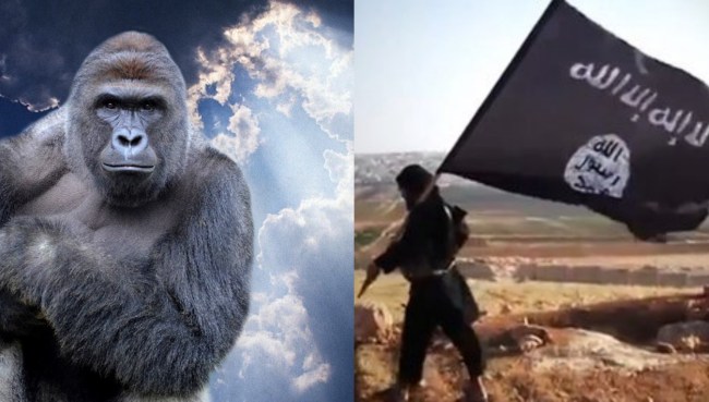 Girl Named Isis Harambe