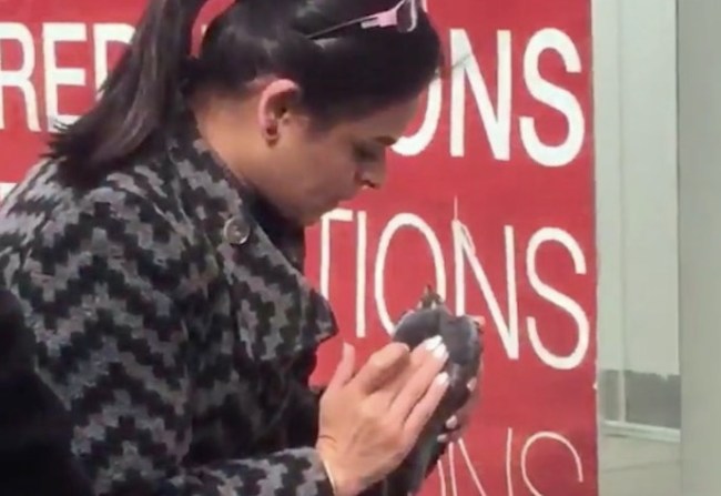 Glasgow Woman Saves Dead Pigeon