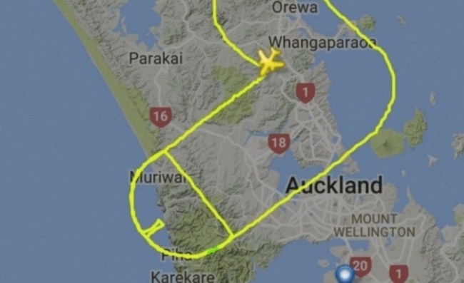 Pilot draws penis