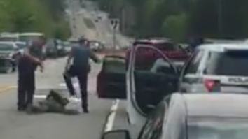Video Emerges Of Cop Kicking Handcuffed Man In The Face During Arrest