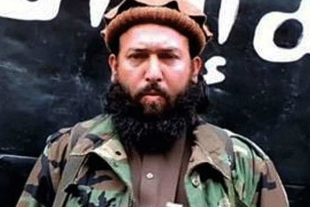 Abdul Hasib