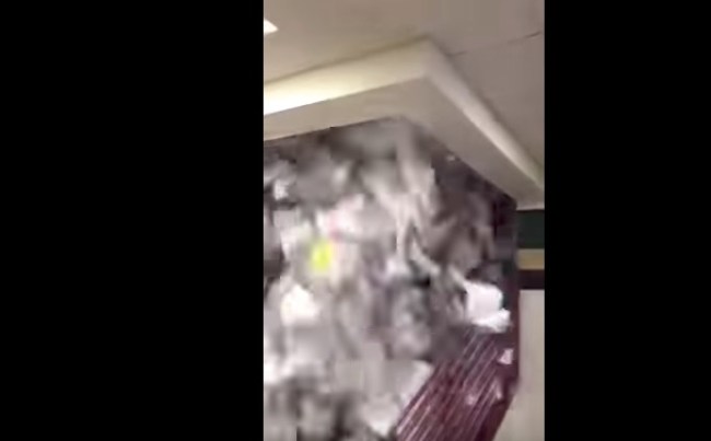 Basha High School Paper Toss Senior Tradition