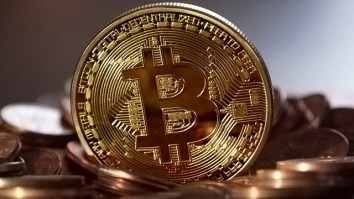 Chart Of How Much Money You Would Have Made If You Invested In Bitcoin In 2010 Will Make You Sick